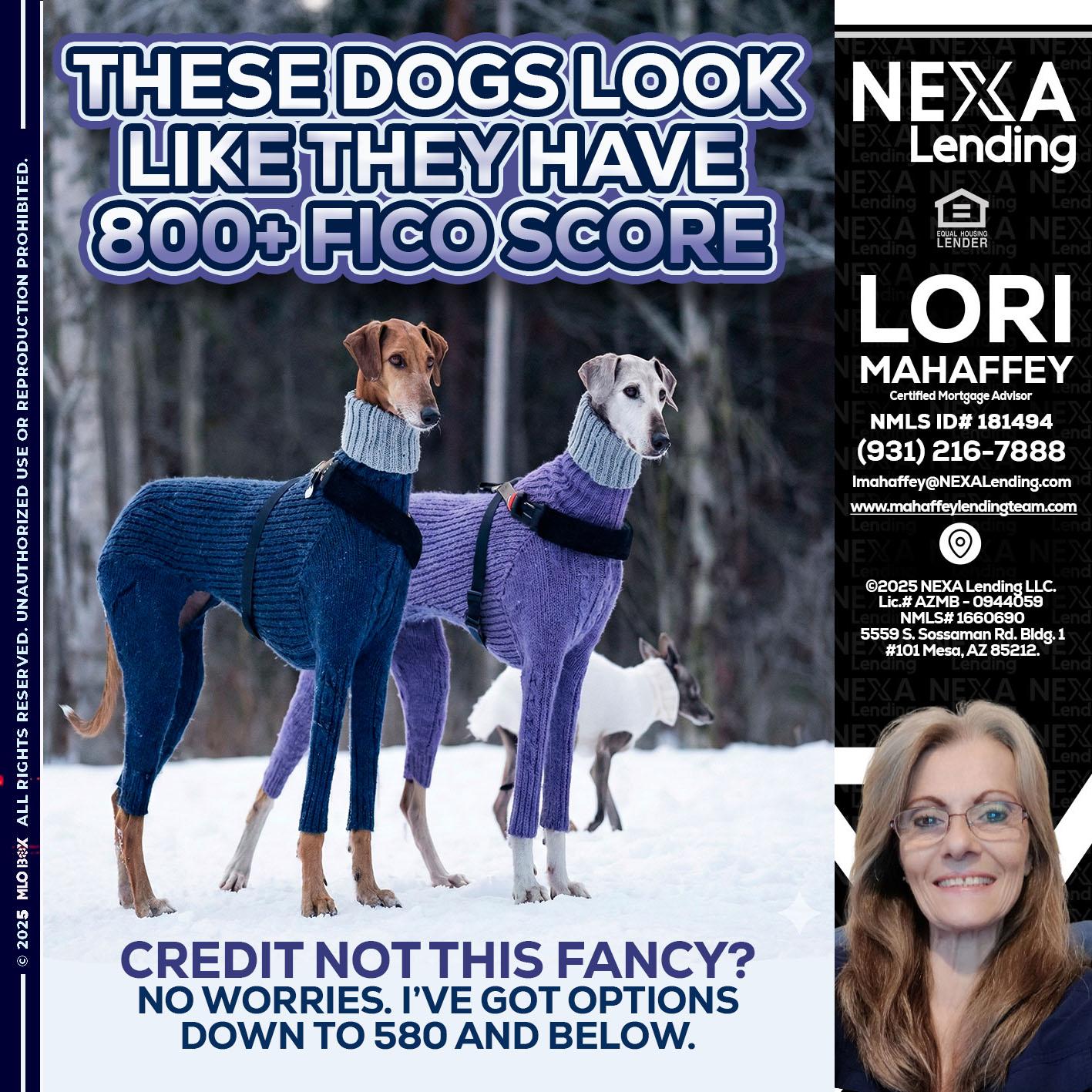 THESE DOGS LOOK - Lori Mahaffey -Senior Loan Officer, Certified Mortgage Advisor